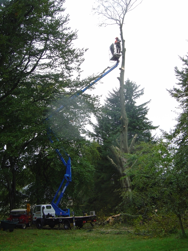 4th October 2008 035